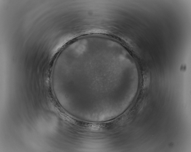 X0000115271266200911201720