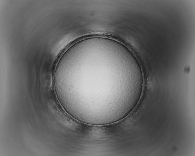 X0000115271267200911201720