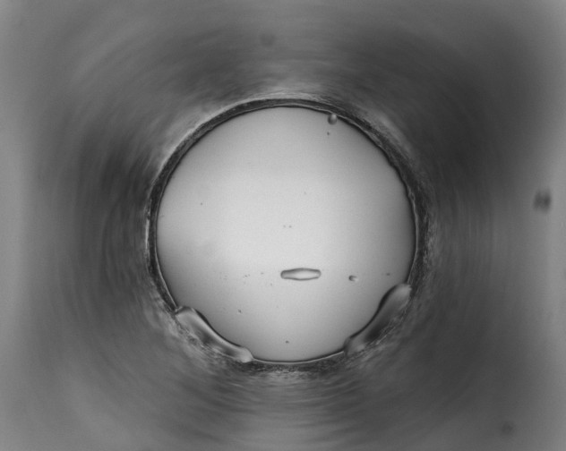 X0000115271268200911201720