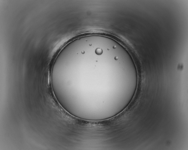 X0000115271269200911201720