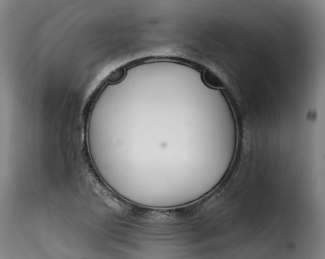 X0000115271270200911201720