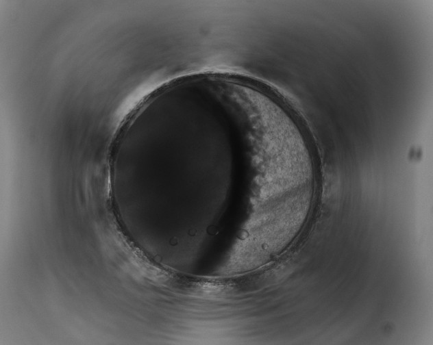 X0000115271271200911201720