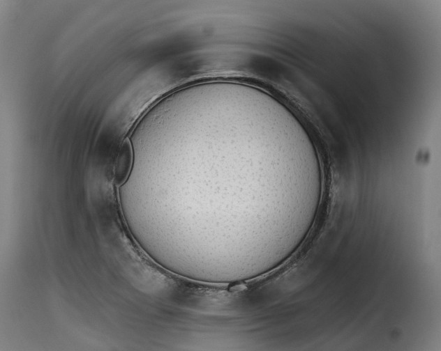 X0000115271273200911201720