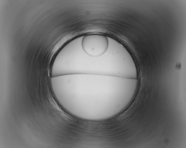 X0000115271274200911201720