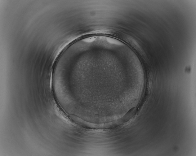 X0000115271276200911201720
