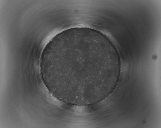 X0000115271278200911201720