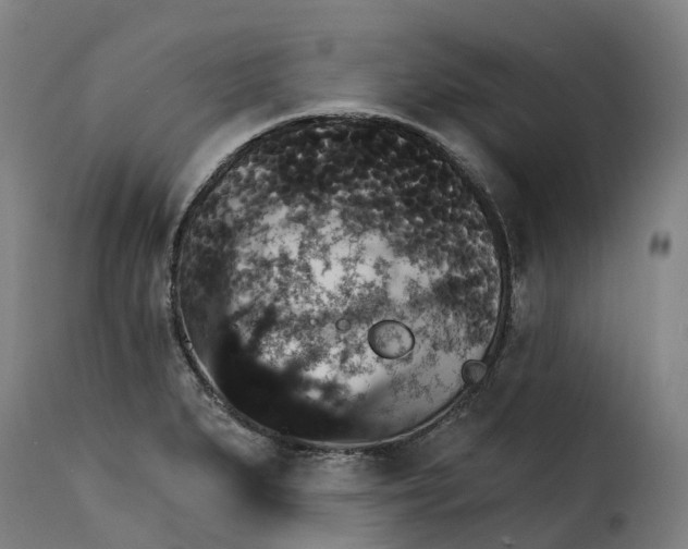 X0000115271279200911201720