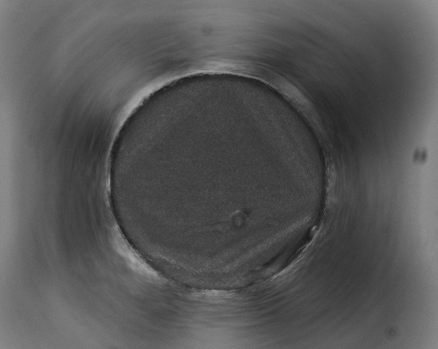 X0000115271280200911201720