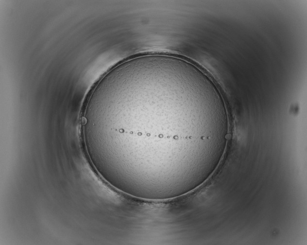 X0000115271285200911201720