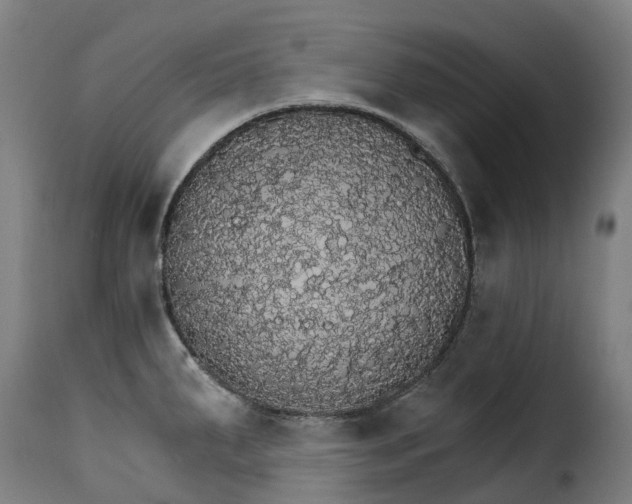 X0000115271287200911201720