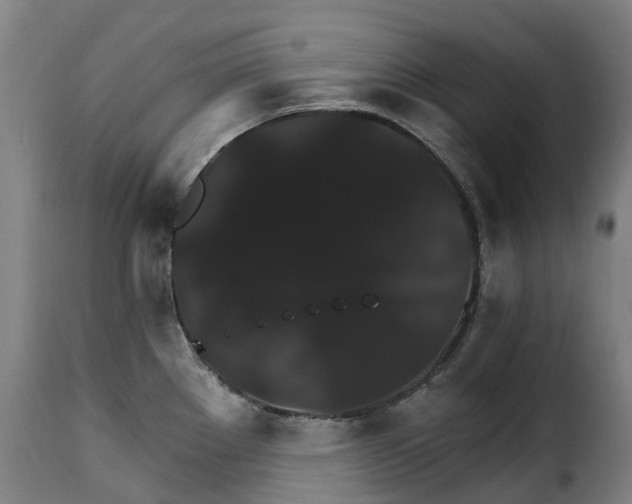 X0000115271289200911201720