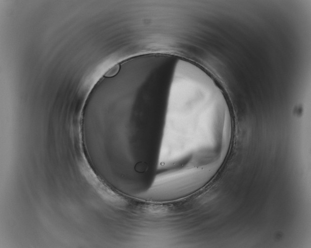 X0000115271291200911201720