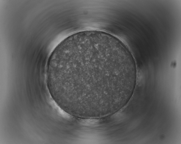 X0000115271294200911201720