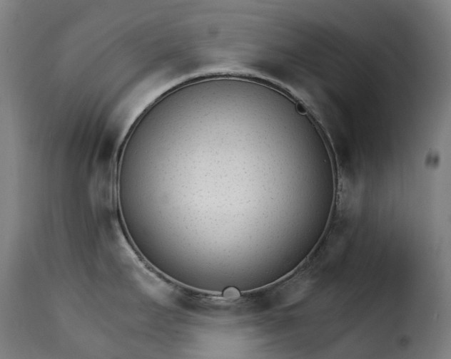 X0000115271295200911201720
