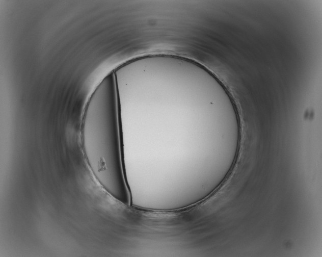 X0000115271296200911201720