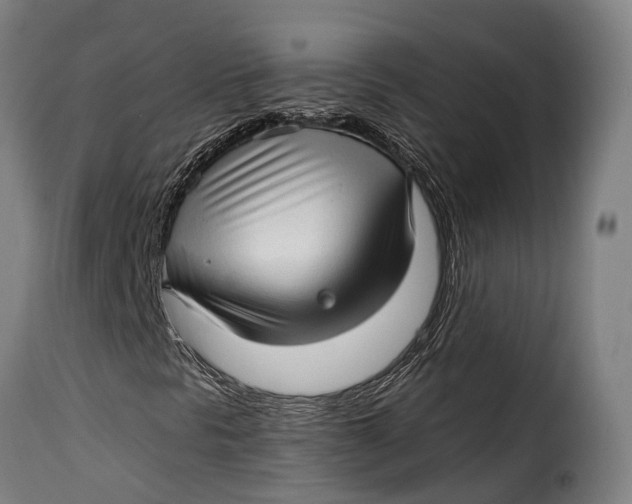 X0000115271297200911201719