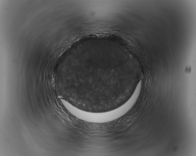 X0000115271298200911201719