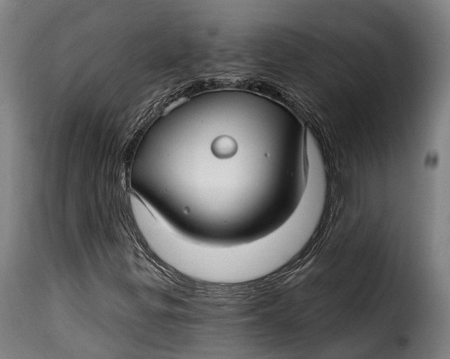 X0000115271299200911201719