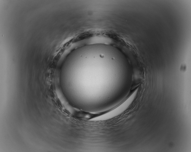 X0000115271301200911201719