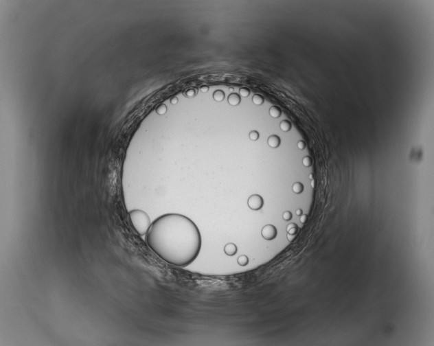 X0000115271302200911201719