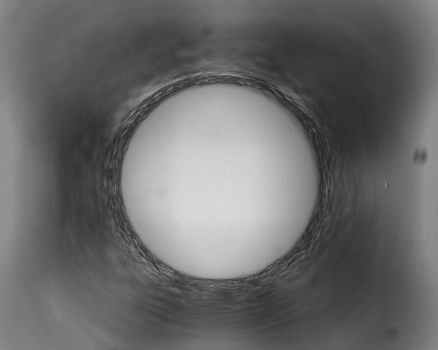 X0000115271303200911201719