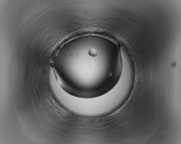 X0000115271305200911201719