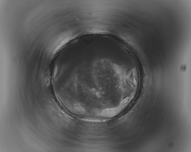 X0000115271306200911201719