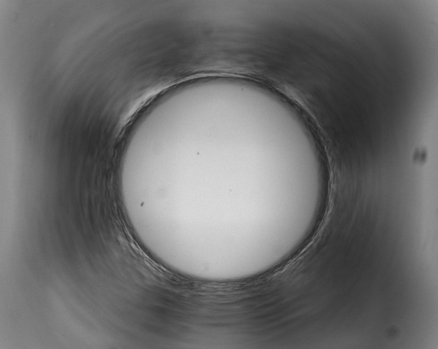 X0000115271307200911201719