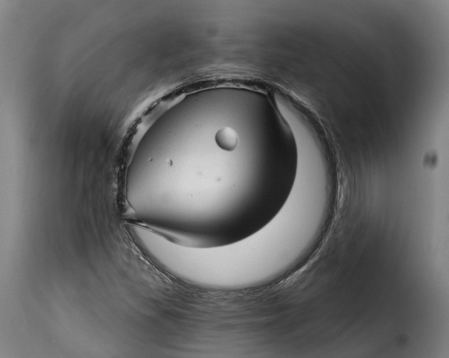 X0000115271309200911201719