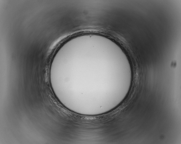 X0000115271310200911201720