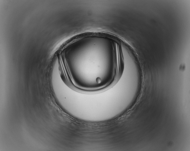 X0000115271311200911201720