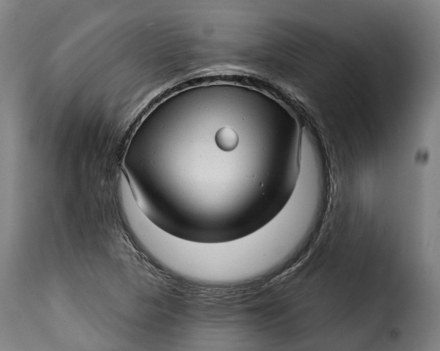 X0000115271313200911201720