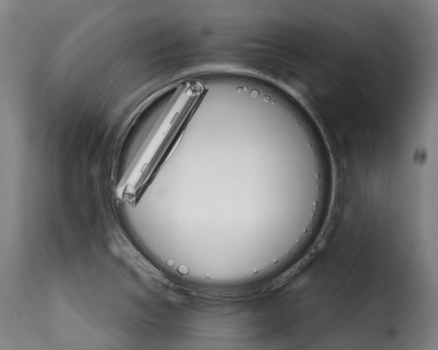 X0000115271314200911201720