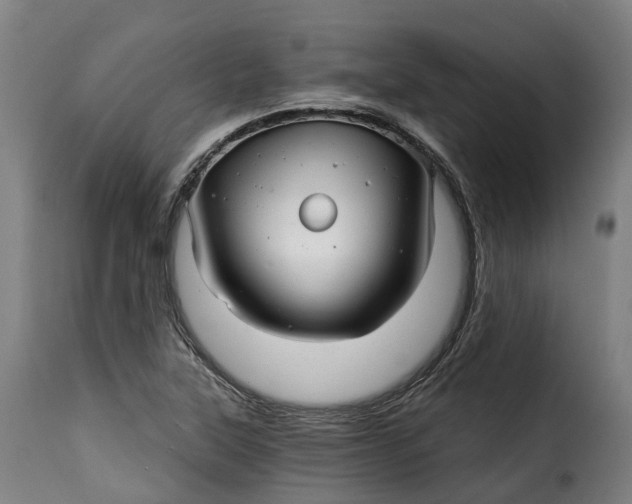 X0000115271315200911201720