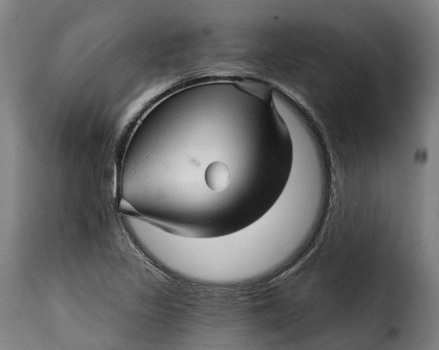 X0000115271317200911201720