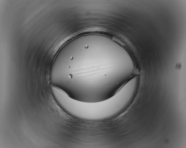 X0000115271321200911201720