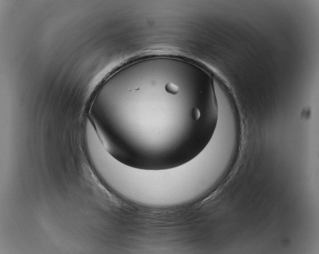 X0000115271325200911201720