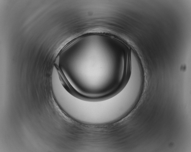 X0000115271329200911201720