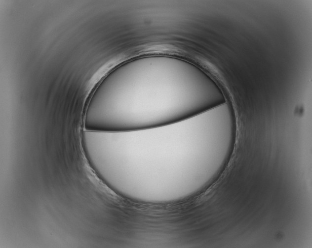 X0000115271330200911201720