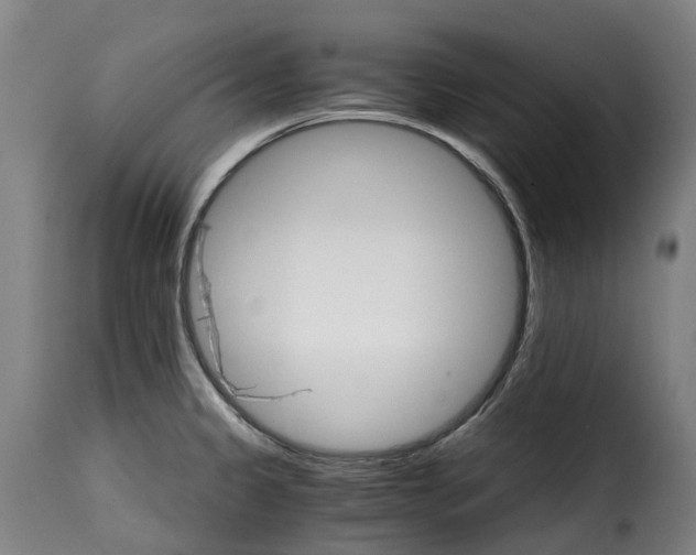 X0000115271333200911201720