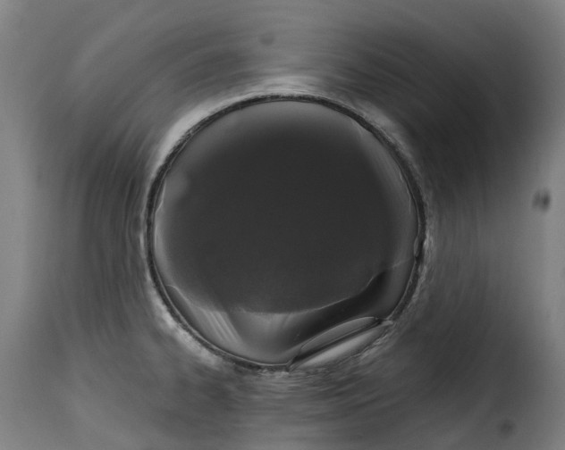 X0000115271334200911201720