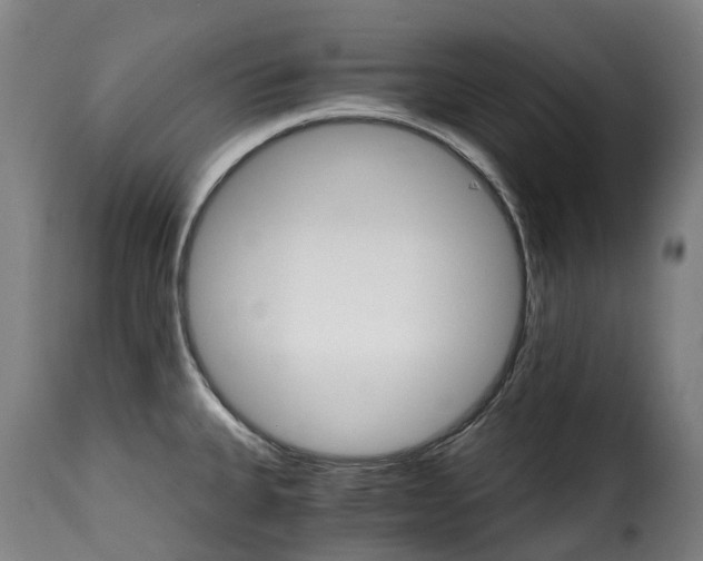 X0000115271335200911201720