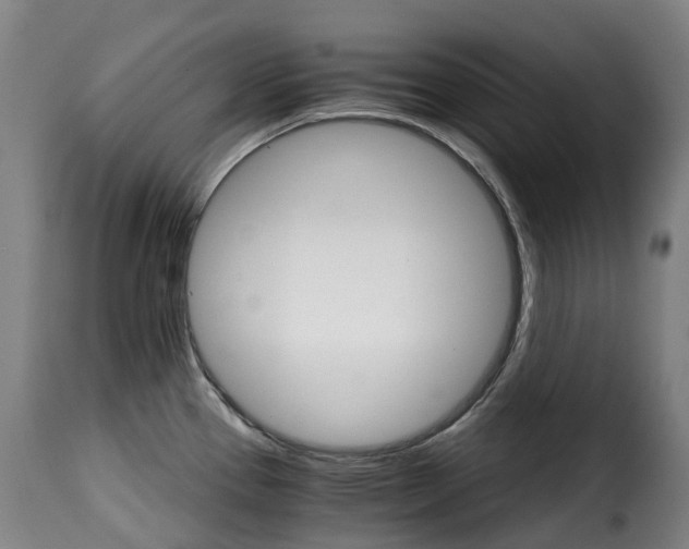 X0000115271337200911201720