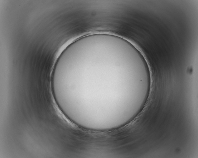 X0000115271341200911201720