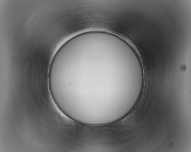 X0000115271343200911201720