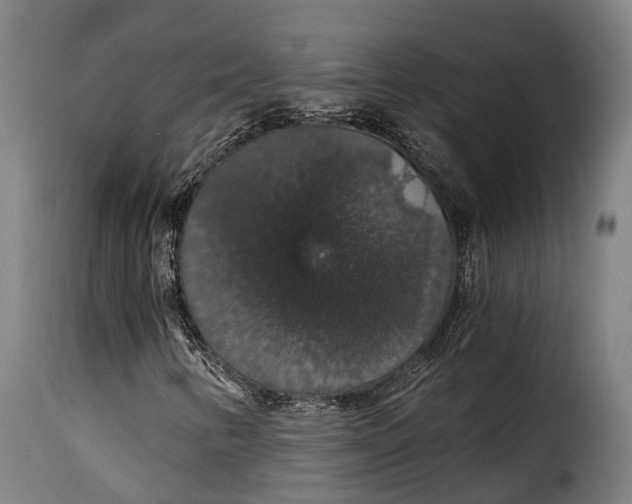 X0000115271346200911201719