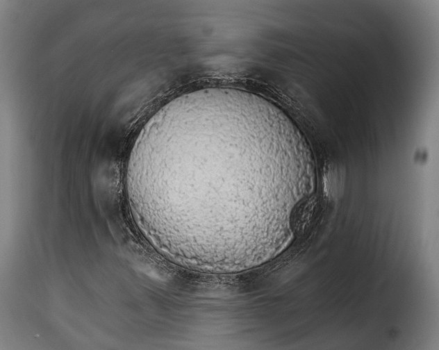 X0000115271347200911201719