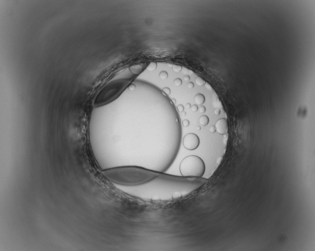X0000115271349200911201719