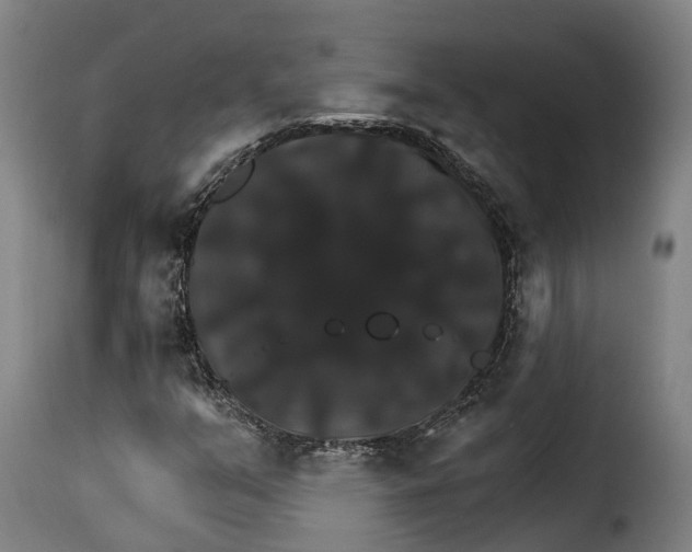 X0000115271351200911201719
