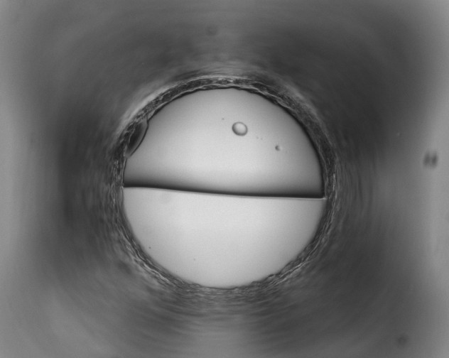 X0000115271352200911201719